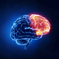 What is Drug Addiction?